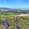 Отель Burren Rock Farmhouse B&B, фото 10