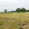Отель Beautiful holiday home in Horssen at the farm with a garden, фото 22