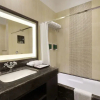 Отель Holiday Inn, фото 7
