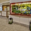 Отель Hilton Garden Inn Houston/Bush Intercontinental Airport, фото 16