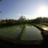 Отель Villa Gede Batulumbang, фото 26