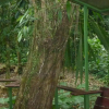Отель Finca Valeria Treehouses Glamping, фото 11