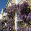 Отель Wisteria House, фото 14