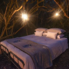 Отель Stargazer Camp - Bellevue Forest Reserve, фото 21