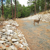 Отель Quiet Ruidoso Hideaway - 2 Mi to Grindstone Lake!, фото 9