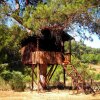 Отель Olympos Woods - Adults Only, фото 15