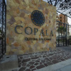 Отель Cabo Beach Cottage, Oceanview, 35 off Quivira Golf - Direct Access to the Beach, фото 1