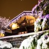 Отель Les Greniers du Mont Blanc, фото 43