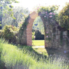 Отель Villa SAN FRANCESCO, фото 18