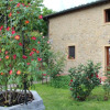 Отель Agriturismo Il Castagnolino, фото 6