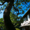 Отель Ryokan Wataya, фото 19