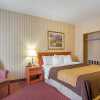 Отель Comfort Inn Toronto Airport, фото 4