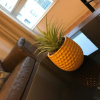 Отель Apex Wallace Street Apt With Free Parking, фото 2