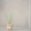 Отель Liiiving - Bolhão Trendy Apartment III, фото 20
