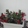 Отель Demetra Rooms, фото 18
