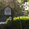 Отель Silvertrees Bed & Breakfast, фото 4