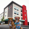 Отель avid hotel Austin NW Lakeline, an IHG Hotel, фото 27