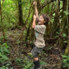 Отель Amazon Rainforest Lodge, фото 21