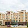 Отель Hampton Inn & Suites Palestine, фото 25