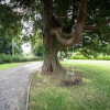 Отель Kilmaronock Manse B&B, фото 15