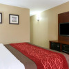 Отель Comfort Inn & Suites Leeds I-20, фото 36