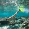 Отель Tioman Dive Resort, фото 25