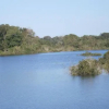 Отель Amazon Tarzan Lodge, фото 3