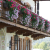 Отель Wimmerhof, фото 7