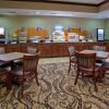 Отель Holiday Inn Express and Suites Mason City, an IHG Hotel, фото 31