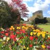 Отель Abbey House Gardens, фото 15