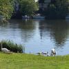 Отель Private Room - The River Room at Burway House on The River Thames, фото 28