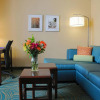 Отель SpringHill Suites Marriott Colorado Springs South, фото 17