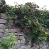 Отель Gammalsbygårdens Gästgiveri, фото 12