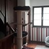 Отель Private room with free VVO ticket & sunset view & Wi-Fi & cats in the house, фото 6