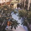 Отель Devata Suite & Residence, фото 15