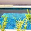Отель Villa Keskin 1, фото 19