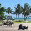Отель Coconut Beach Homestay, фото 13