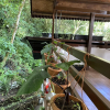 Отель Rupa Rupa High Jungle Eco B&B, фото 14