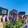 Отель NUMA Wine Eco Suites, фото 35