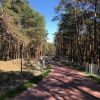 Отель Magnolia Guest House, фото 17