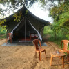 Отель Wild eco safari, фото 7