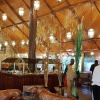 Отель Fig Tree Camp, фото 20