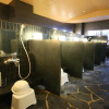 Отель APA Hotel Keisei Narita Ekimae, фото 8
