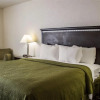 Отель Quality Inn & Suites Mansfield, фото 6
