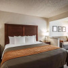 Отель Comfort Inn, фото 2