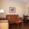 Отель Hilton Garden Inn El Paso / University, фото 16