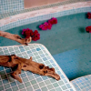 Отель Cala Luna Luxury Boutique Hotel, фото 14