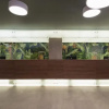 Отель Calypso Beach Hotel, фото 9