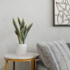 Отель Classic & Charming 2BR Apt in Lincoln, фото 2