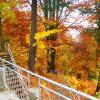 Отель Parkhotel Waldschlösschen, фото 43